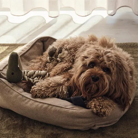 Appartamento C10 Mit Suedbalkon & Nutzung Der Wellness- & Aktivbereiche Im 