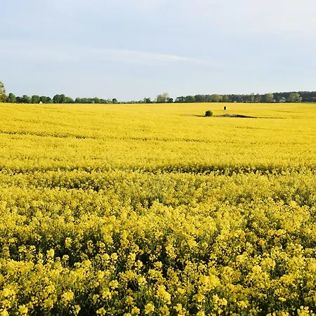C10 Mit Suedbalkon & Nutzung Der Wellness- & Aktivbereiche Im 
